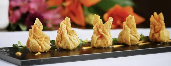 Crispy Tuna Dumpling
