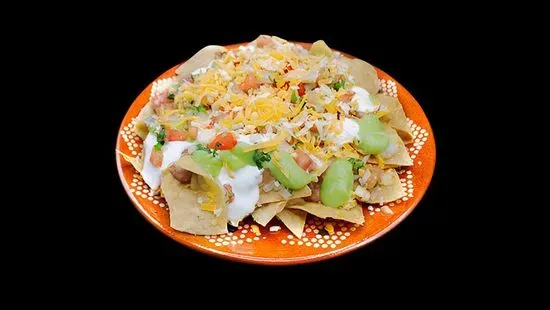 Vegetarian Nachos