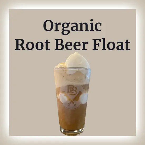 Organic Root Beer Float