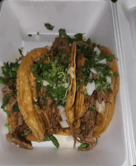 Quesa Birria Taco