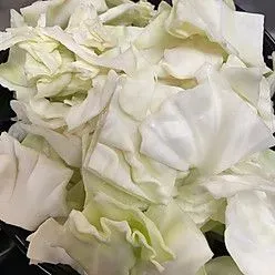 Cabbage 高丽菜