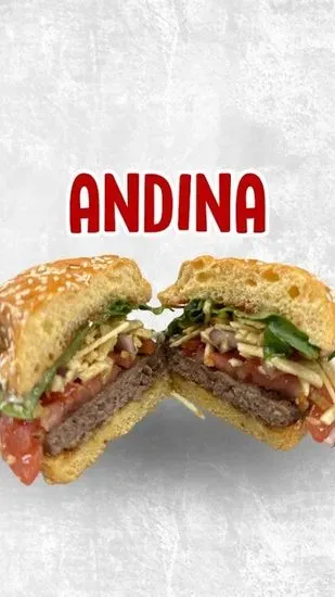 Andina Burger