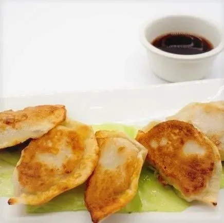 Pan-Fried Potstickers (5)