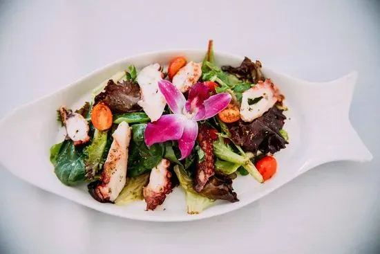 Barba Octopodi Salad