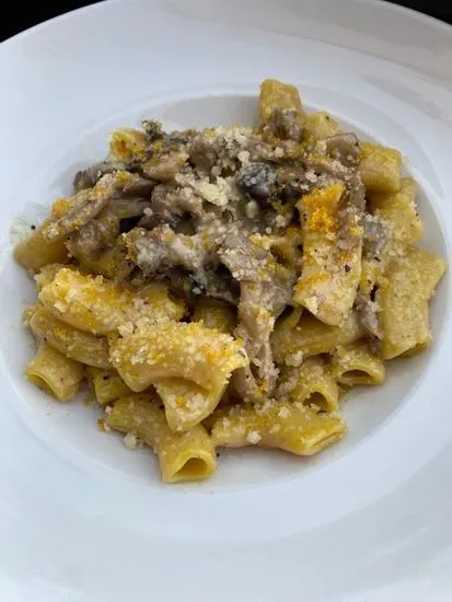 BRONZE CUT SAUSAGE RIGATONI