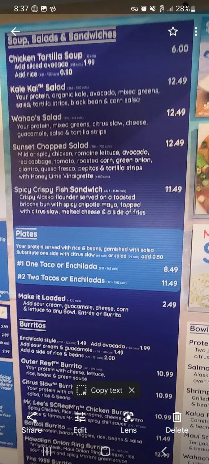 Menu 4