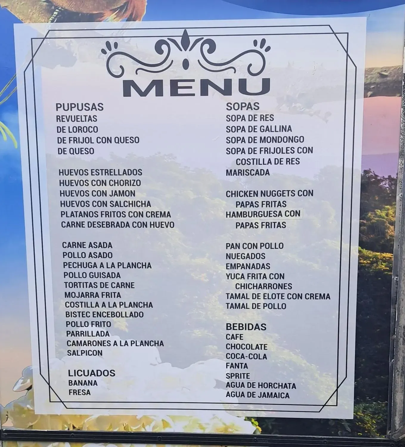 Menu 1