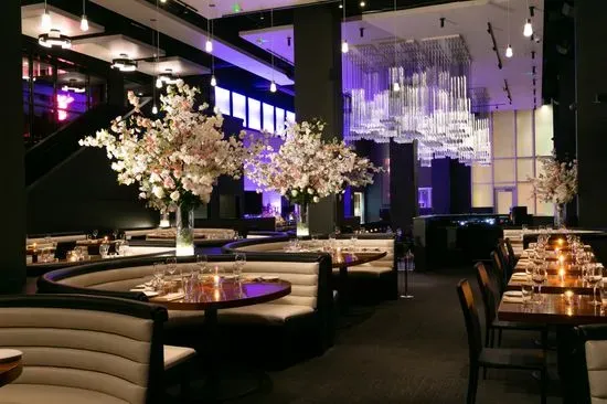 STK Steakhouse