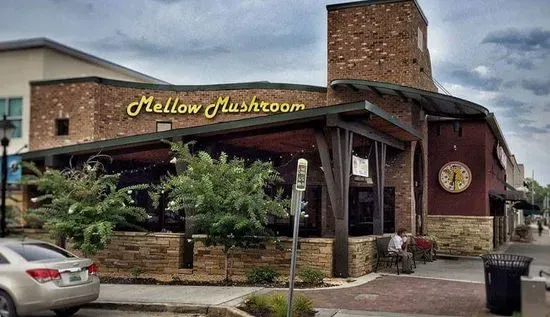 Mellow Mushroom Decatur