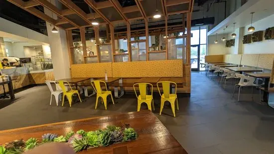 Modern Market Eatery - Littleton