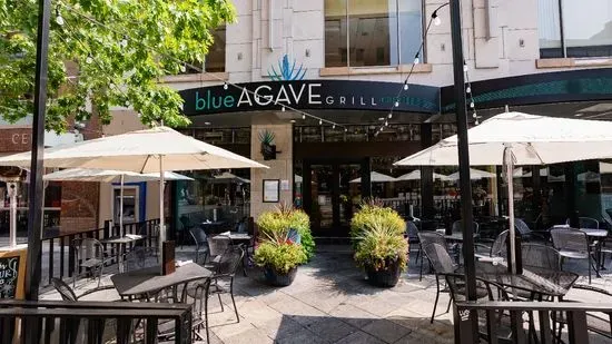 Blue Agave Grill