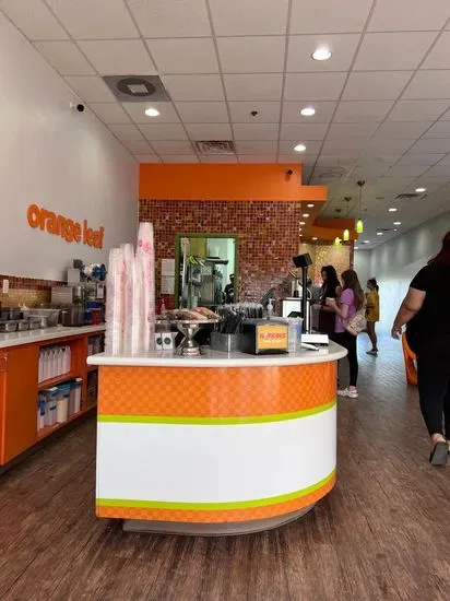 Orange Leaf Frozen Yogurt