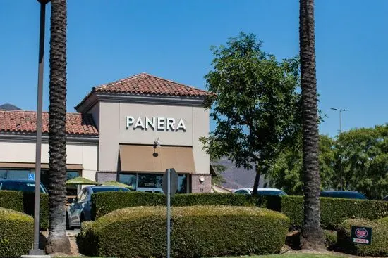 Panera Bread