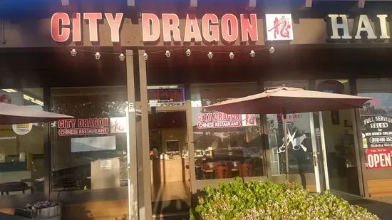 City Dragon Chinese Food