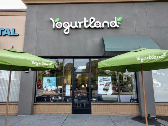 Yogurtland Fremont