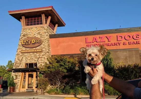 Lazy Dog Restaurant & Bar