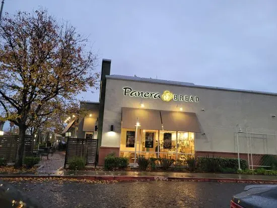 Panera Bread