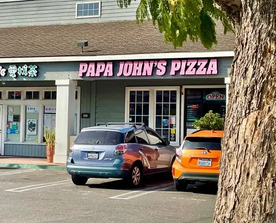 Papa Johns Pizza