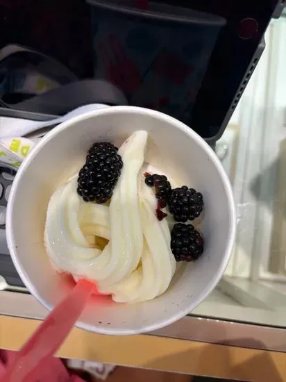 Prinkipia Frozen Yogurt