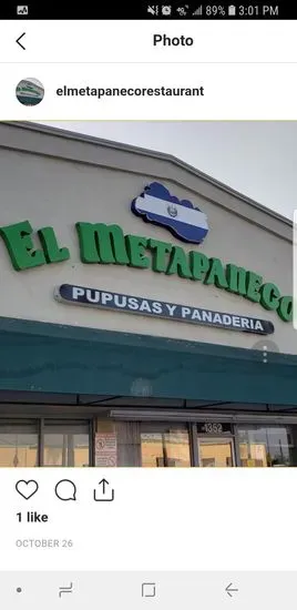 El Metapaneco