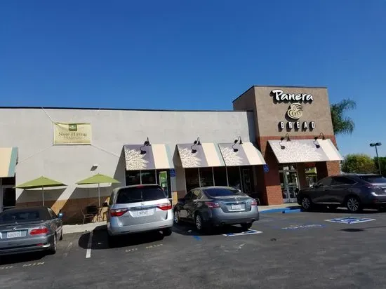 Panera Bread