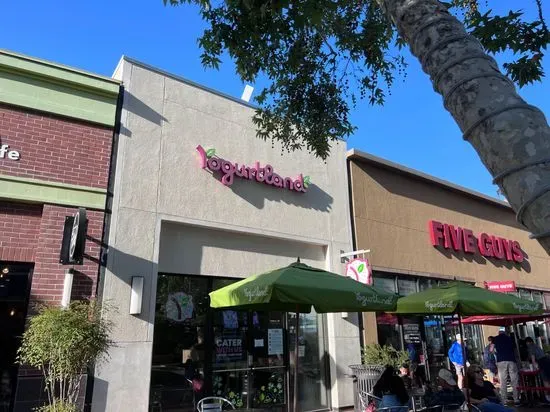 Yogurtland The River Park at Fresno