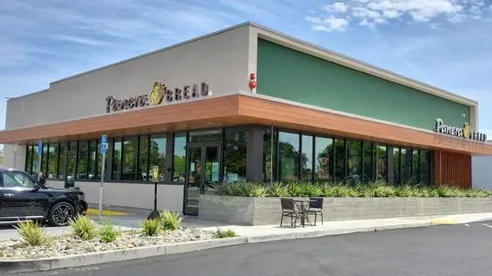 Panera Bread