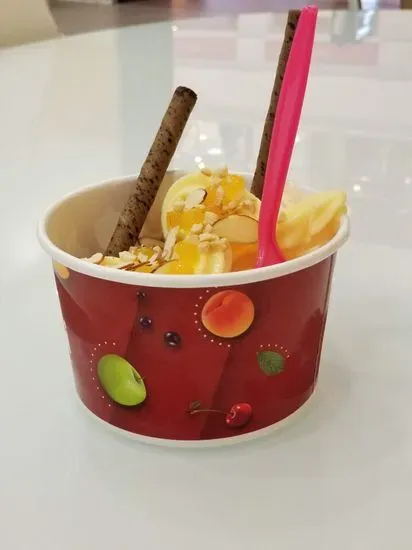 Tutti Frutti Frozen Yogurt