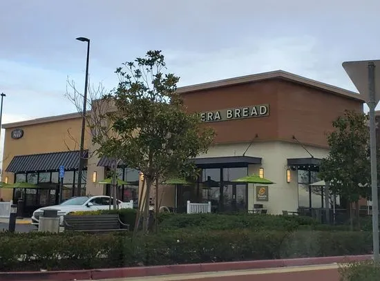 Panera Bread