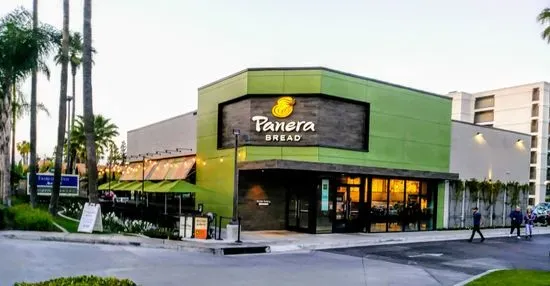 Panera Bread