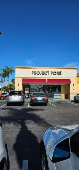 Project Poke