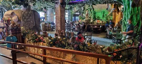 Rainforest Cafe