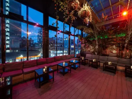 The DL | Best Rooftop Lounge NYC