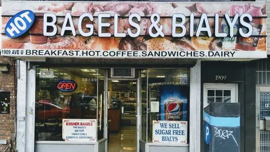 Hot Bagels and Bialys