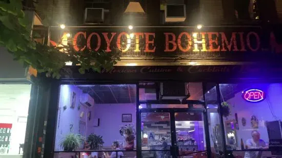 Coyote Bohemio