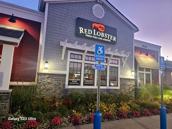 Red Lobster