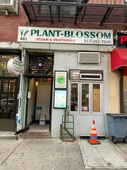 Plant-Blossom