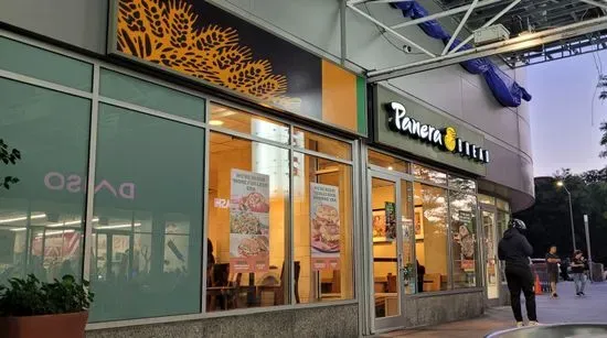 Panera Bread