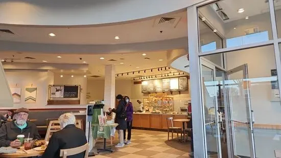 Panera Bread