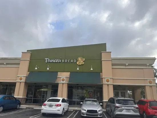 Panera Bread