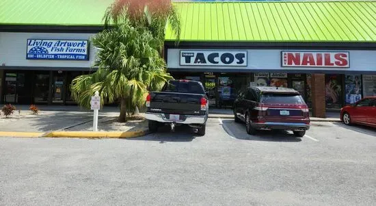 Tamiami Tacos