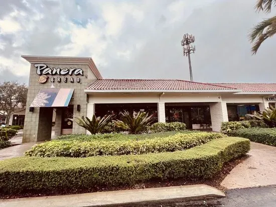 Panera Bread