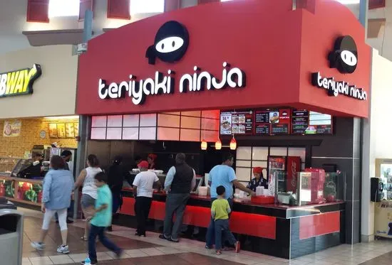 Teriyaki Ninja