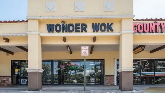 Wonder Wok