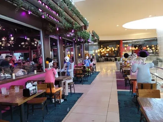 Cantina Catrina Dadeland Mall