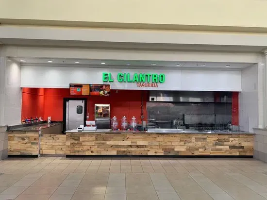 El Cilantro Taqueria