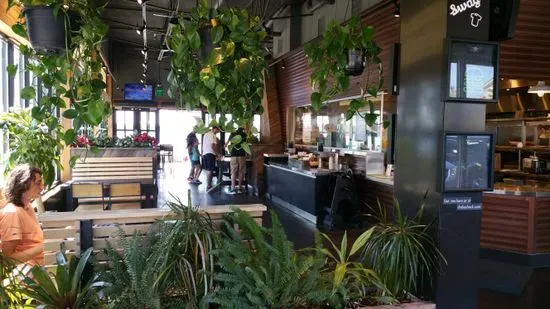 Shake Shack Winter Park