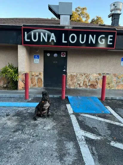 Luna Lounge Seffner