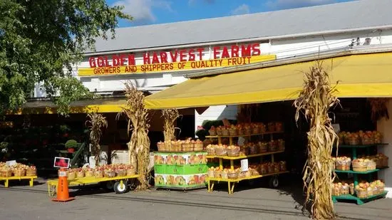 Golden Harvest Farms