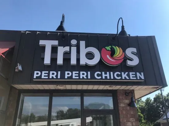 Tribos Peri Peri Westborough